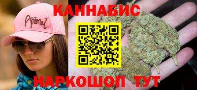 стафф Моздок