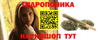 spice Можга