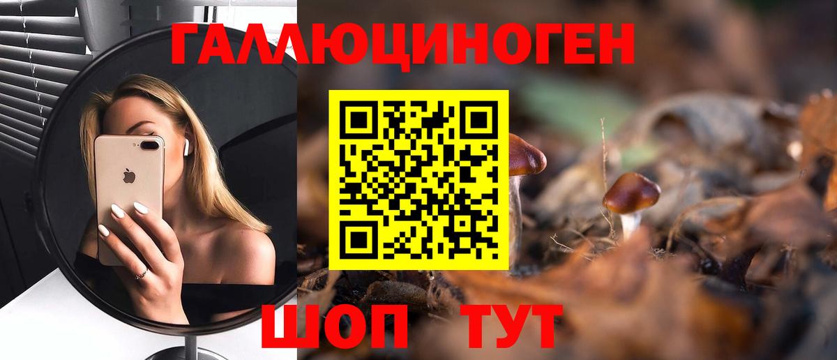 Похвистнево  Псилоцибиновые грибы ЛСД  Вход с VPN 